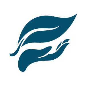 <b>RESTORE - The environment </b>